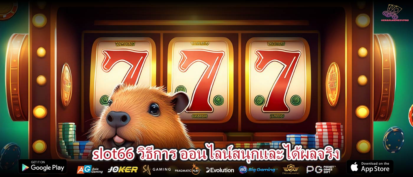 slot66 วิธีการ ออนไลน์สนุกและได้ผลจริง